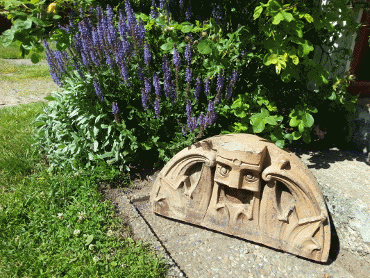 syrrträdgård 026_mindre