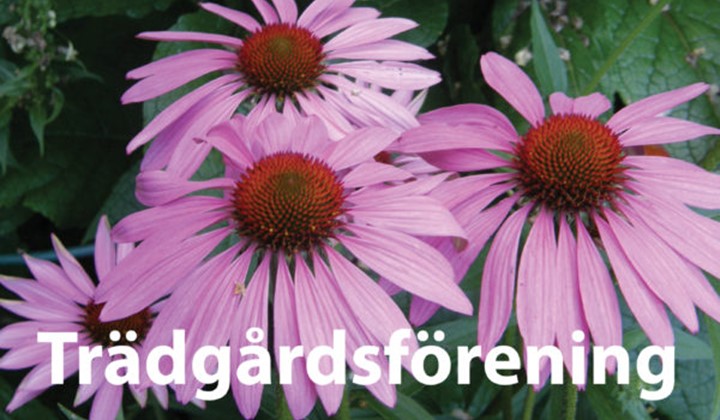 Täby-Vallentuna Trädgårdsförening, Täby