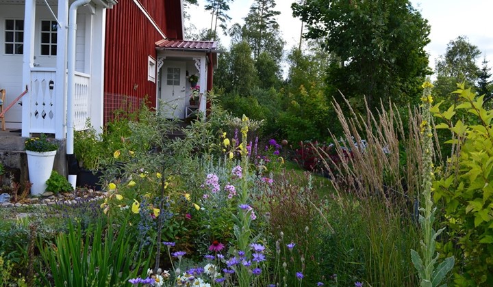 Björnåsens Trädgård/ Elinore Eriksson, Häradsbäck