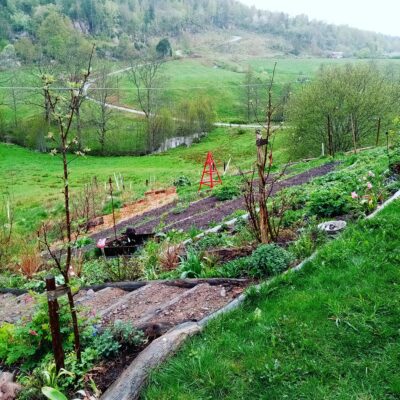 inbound7425388226763393530