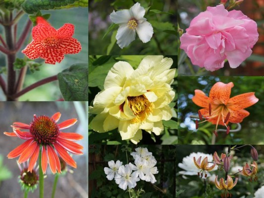 Ny(tt) Microsoft Office PowerPoint-presentation